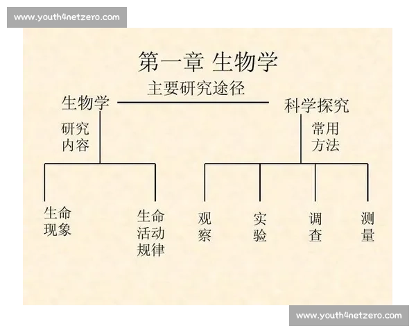 以碰撞为中心的科学探索:揭示物理、化学与生物系统中碰撞现象的深刻意义